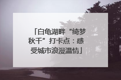 白龟湖畔“绮梦秋千”打卡点：感受城市浪漫温情