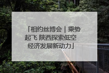 相约丝博会｜乘势起飞 陕西探索低空经济发展新动力