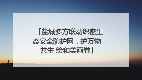 盐城多方联动织密生态安全防护网，护万物共生 绘和美画卷