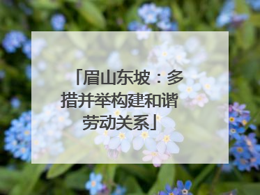 眉山东坡：多措并举构建和谐劳动关系