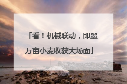 看！机械联动，即墨万亩小麦收获大场面