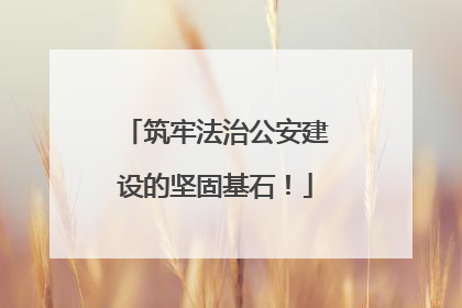 筑牢法治公安建设的坚固基石！