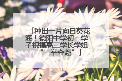 种出一片向日葵花海！德阳中学初一学子祝福高三学长学姐“一举夺魁”