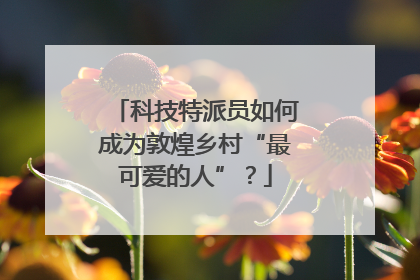 科技特派员如何成为敦煌乡村“最可爱的人”？