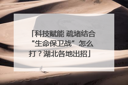 科技赋能 疏堵结合 “生命保卫战”怎么打？湖北各地出招