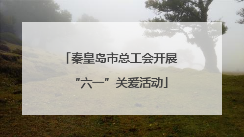 秦皇岛市总工会开展“六一”关爱活动