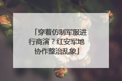 穿着仿制军服进行商演？红安军地协作整治乱象