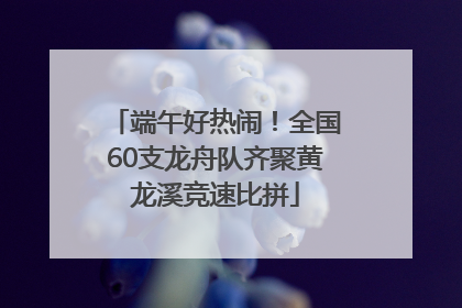 端午好热闹！全国60支龙舟队齐聚黄龙溪竞速比拼