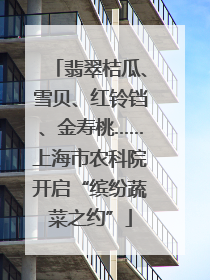 翡翠桔瓜、雪贝、红铃铛、金寿桃……上海市农科院开启“缤纷蔬菜之约”