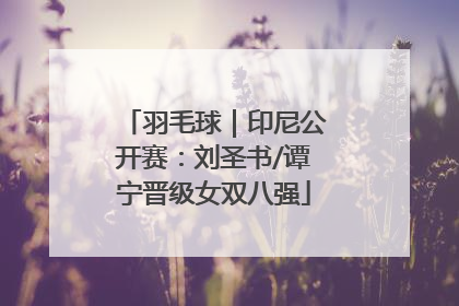 羽毛球｜印尼公开赛：刘圣书/谭宁晋级女双八强
