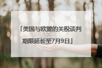 美国与欧盟的关税谈判期限延长至7月9日