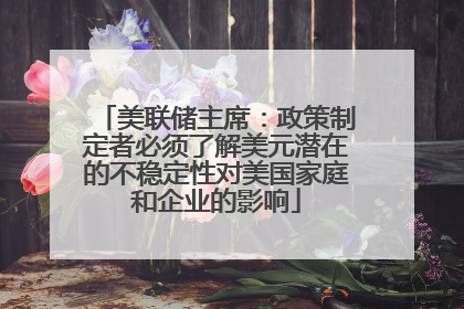 美联储主席：政策制定者必须了解美元潜在的不稳定性对美国家庭和企业的影响