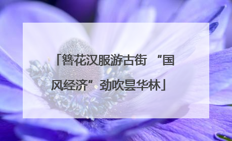 簪花汉服游古街 “国风经济”劲吹昙华林