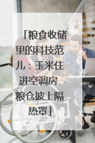 粮食收储里的科技范儿：玉米住进空调房 粮仓披上隔热罩