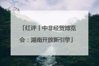 红评丨中非经贸博览会：湖南开放新引擎