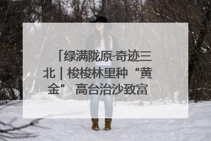 绿满陇原·奇迹三北｜梭梭林里种“黄金” 高台治沙致富很“从容”