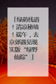 绿荫栈道！清凉秘境！端午，去京郊遇见现实版“绿野仙踪”