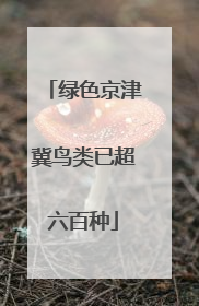 绿色京津冀鸟类已超六百种
