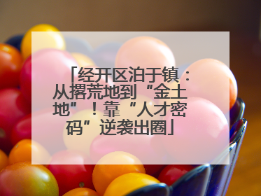 经开区泊于镇：从撂荒地到“金土地”！靠“人才密码”逆袭出圈