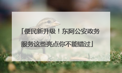 便民新升级！东阿公安政务服务这些亮点你不能错过