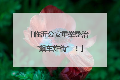 临沂公安重拳整治“飙车炸街”！