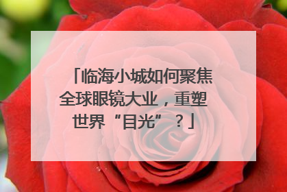 临海小城如何聚焦全球眼镜大业，重塑世界“目光”？