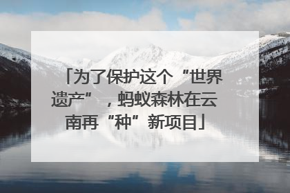 为了保护这个“世界遗产”，蚂蚁森林在云南再“种”新项目