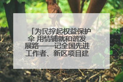 为民撑起权益保护伞 用情铺就和谐发展路——记全国先进工作者、新区项目建设中心干部卢小勇