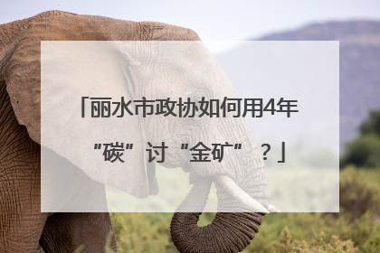 丽水市政协如何用4年“碳”讨“金矿”？