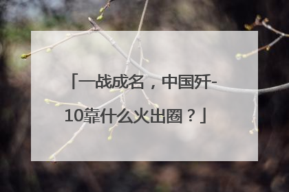一战成名，中国歼-10靠什么火出圈？