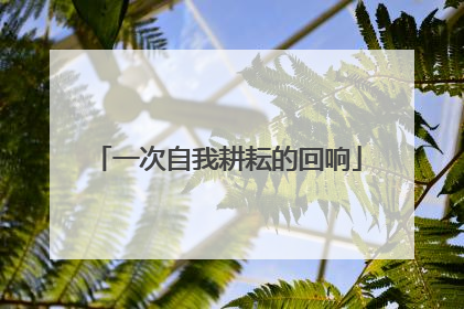 一次自我耕耘的回响