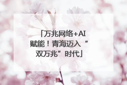 万兆网络+AI赋能!青海迈入“双万兆”时代