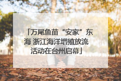 万尾鱼苗“安家”东海 浙江海洋增殖放流活动在台州启幕