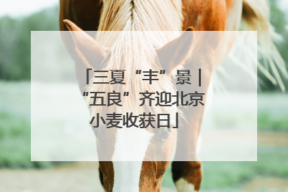 三夏“丰”景｜“五良”齐迎北京小麦收获日