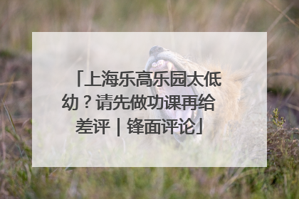 上海乐高乐园太低幼？请先做功课再给差评｜锋面评论