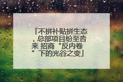 不拼补贴拼生态，总部项目纷至沓来 招商“反内卷”下的光谷之变
