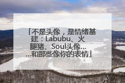 不是头像，是情绪基建：Labubu、火腿猪、Soul头像……和那些像你的表情