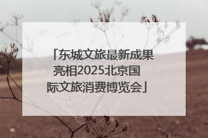 东城文旅最新成果亮相2025北京国际文旅消费博览会