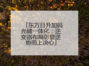 东方日升加码光储一体化：逆变器布局彰显逆势而上决心