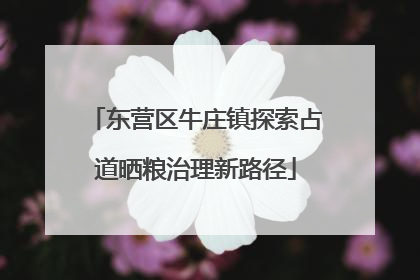 东营区牛庄镇探索占道晒粮治理新路径