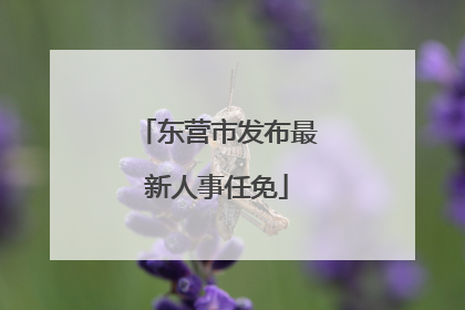 东营市发布最新人事任免