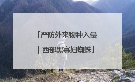 严防外来物种入侵｜西部黑寡妇蜘蛛