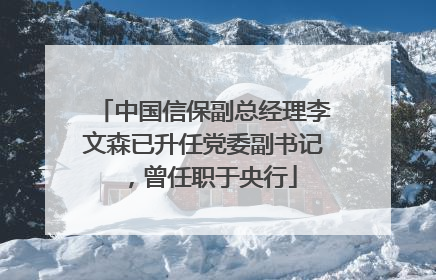 中国信保副总经理李文森已升任党委副书记，曾任职于央行