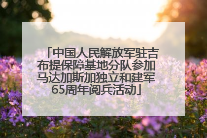 中国人民解放军驻吉布提保障基地分队参加马达加斯加独立和建军65周年阅兵活动