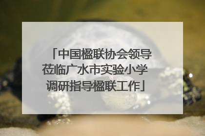 中国楹联协会领导莅临广水市实验小学调研指导楹联工作