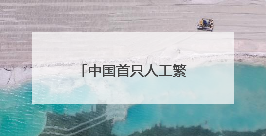 中国首只人工繁育成活的雌性雪豹迎来9岁生日