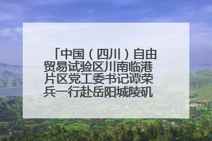 中国（四川）自由贸易试验区川南临港片区党工委书记谭荣兵一行赴岳阳城陵矶综保区考察