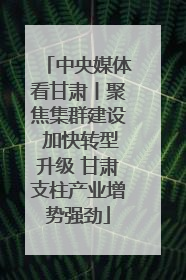 中央媒体看甘肃丨聚焦集群建设 加快转型升级 甘肃支柱产业增势强劲