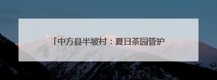 中方县半坡村：夏日茶园管护忙 特色产业绘就振兴新图景