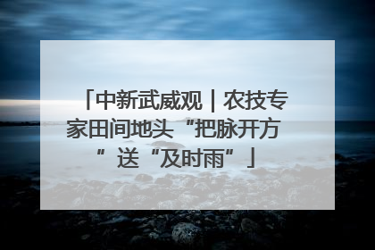 中新武威观｜农技专家田间地头“把脉开方”送“及时雨”